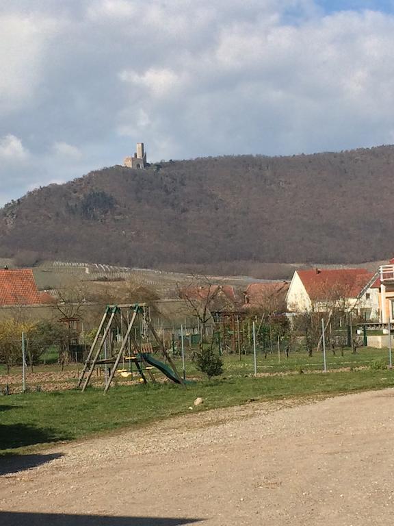Apartamento Vignobles Frey-Sohler Scherwiller Exterior foto