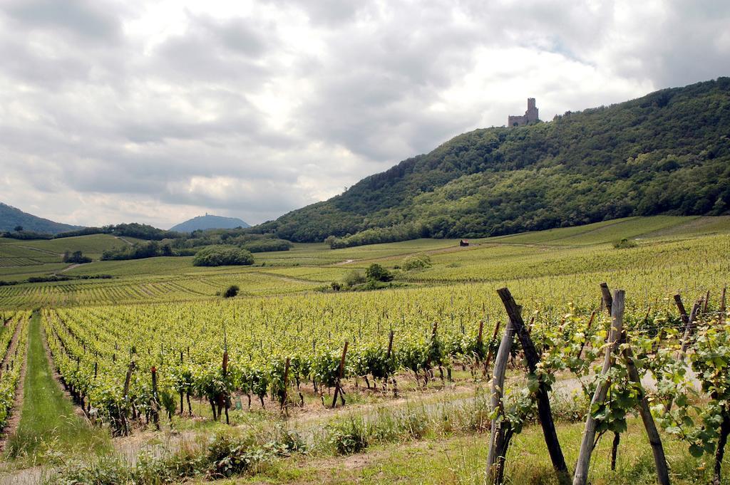 Apartamento Vignobles Frey-Sohler Scherwiller Exterior foto