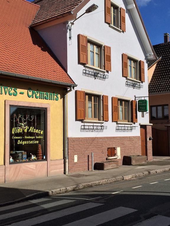 Apartamento Vignobles Frey-Sohler Scherwiller Exterior foto
